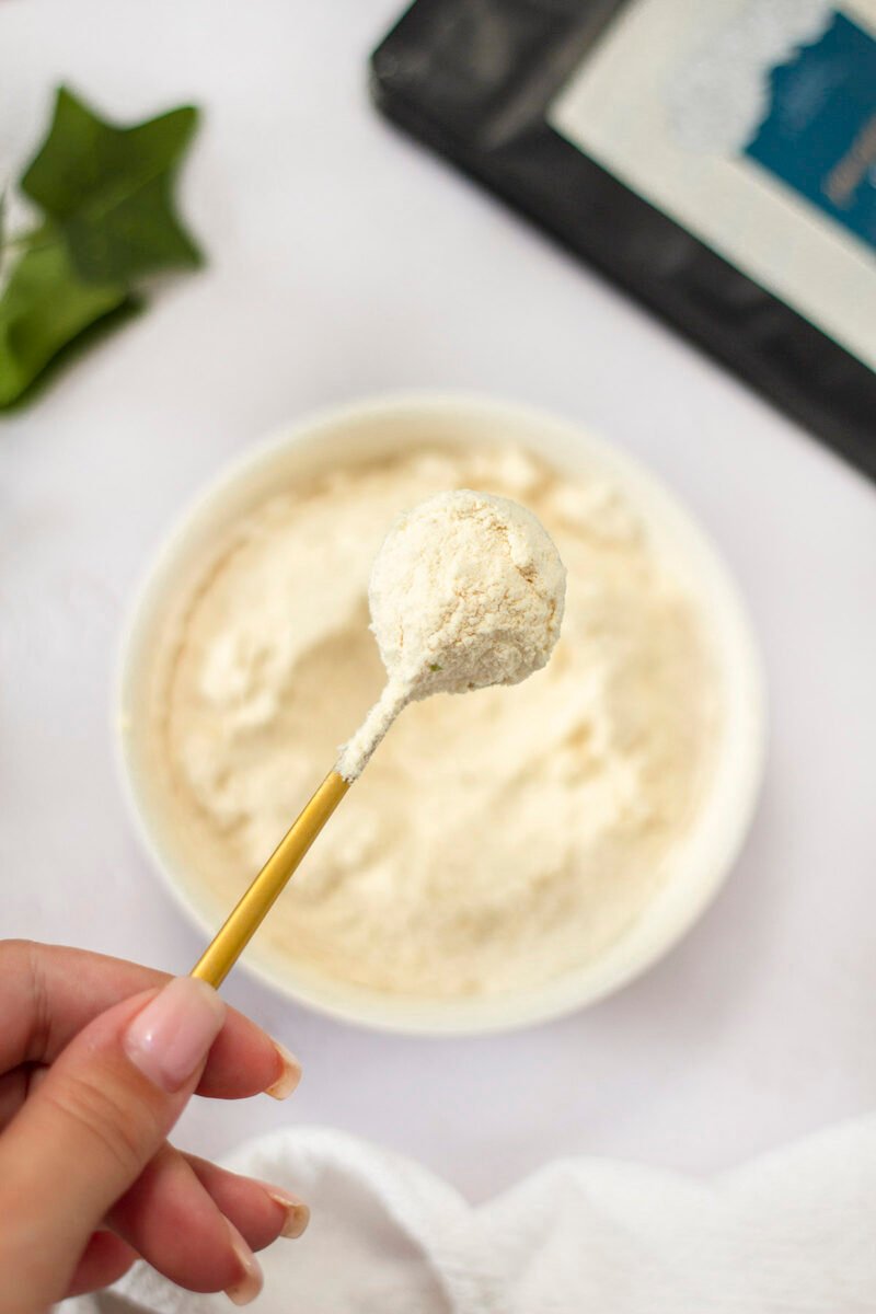 Gefriergetrocknete apfel pulver