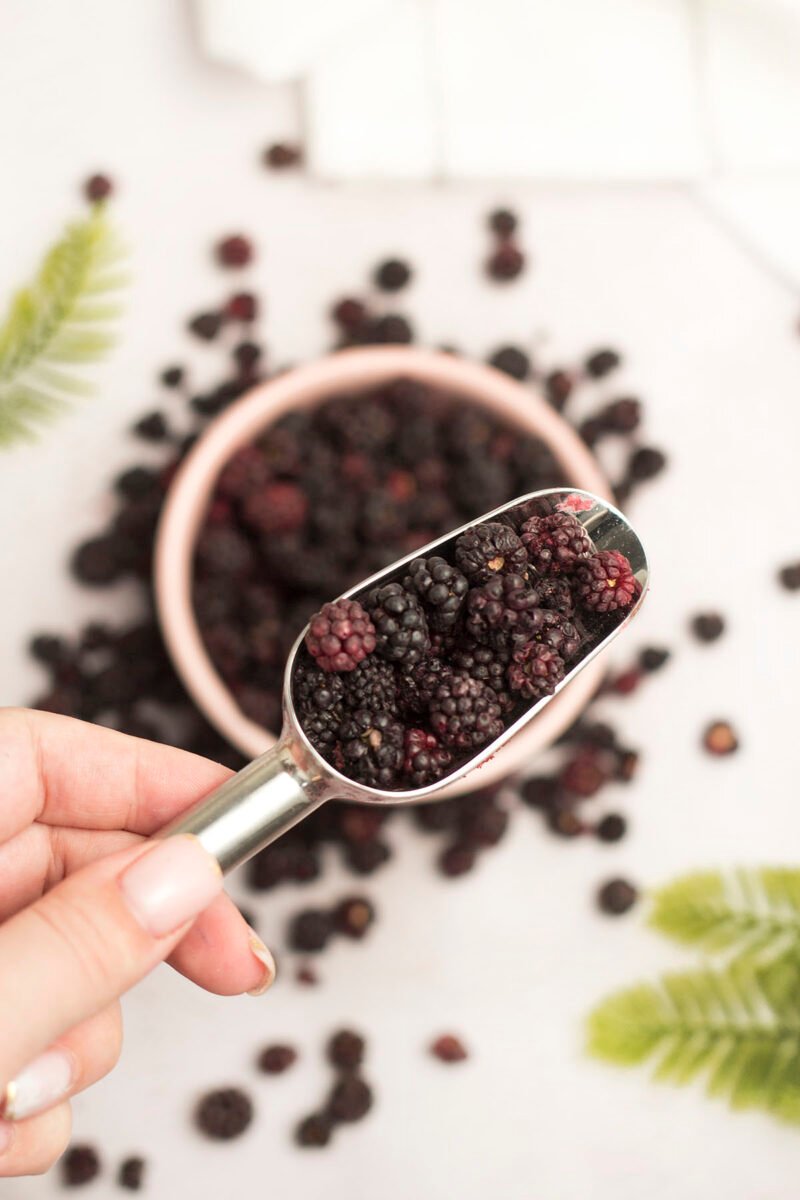 Gefriergetrocknete brombeere ganz