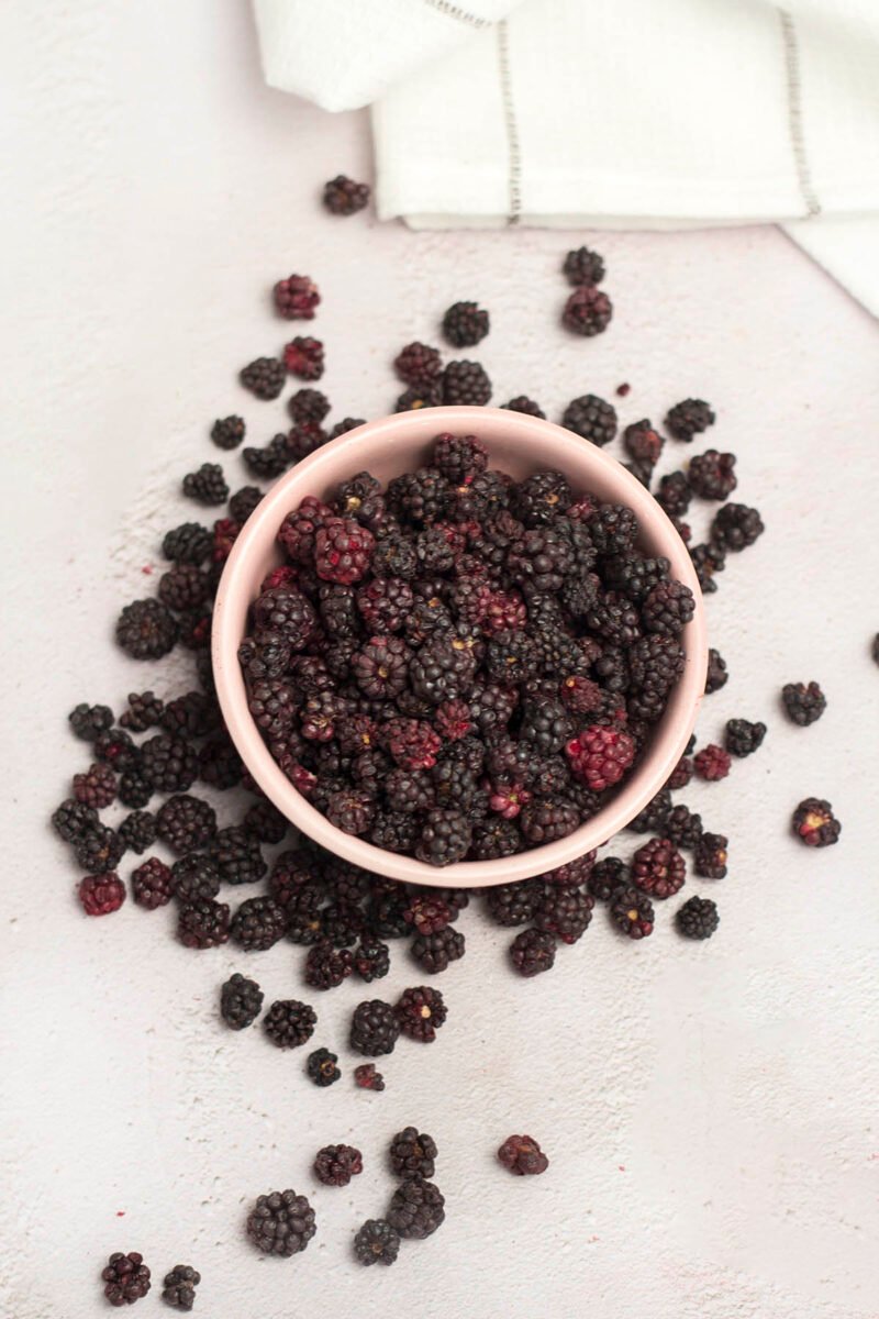 Gefriergetrocknete brombeere ganz