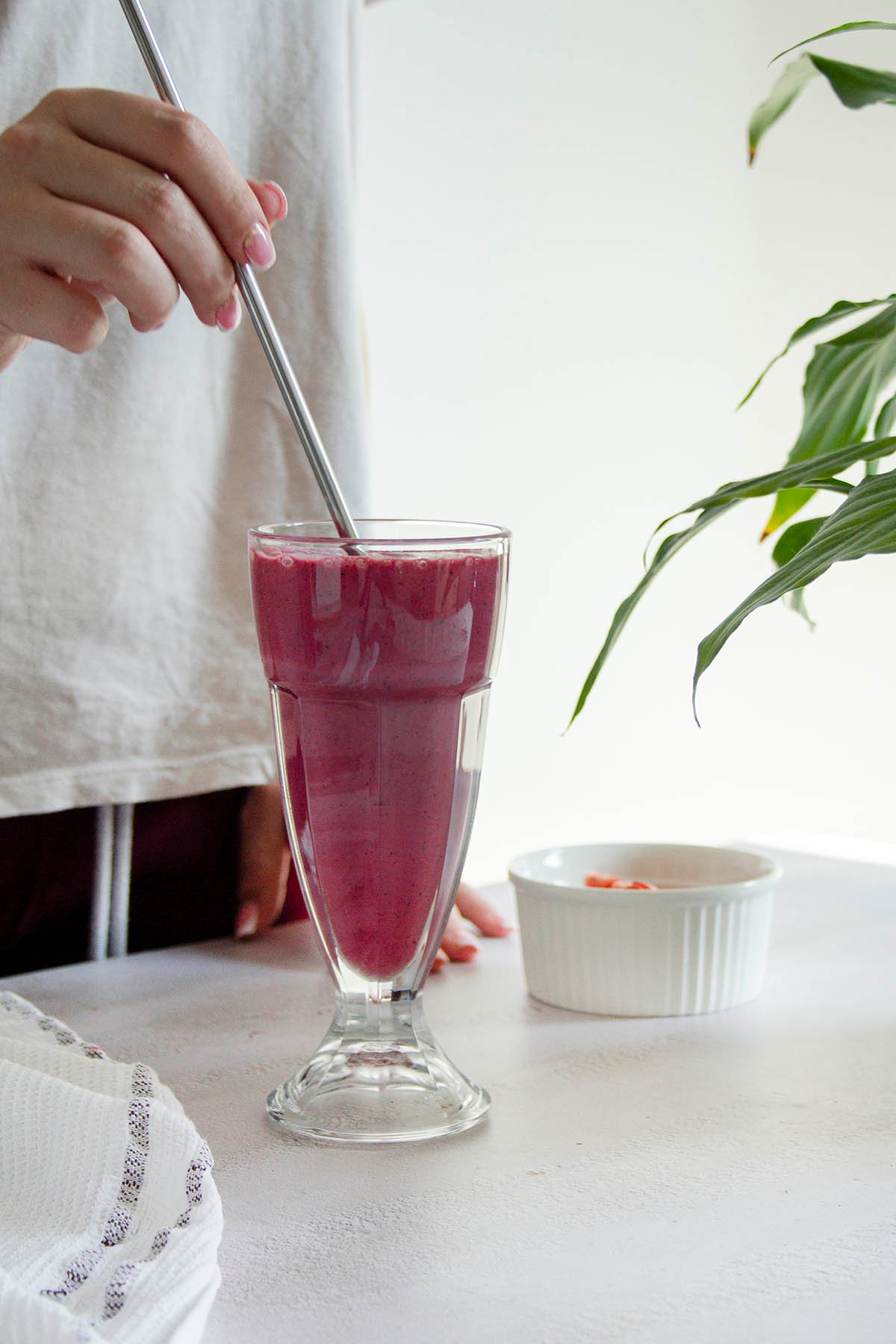 immun-boost-gefriergetrocknete-früchte-kaufen