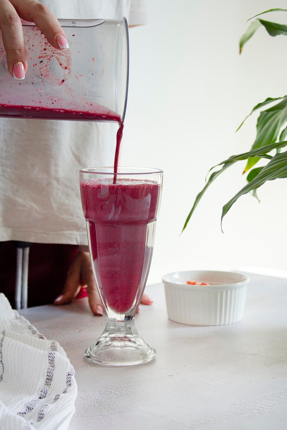 immun-boost-gefriergetrocknete-früchte